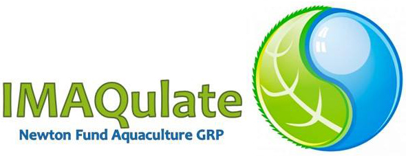 IMAQulate logo