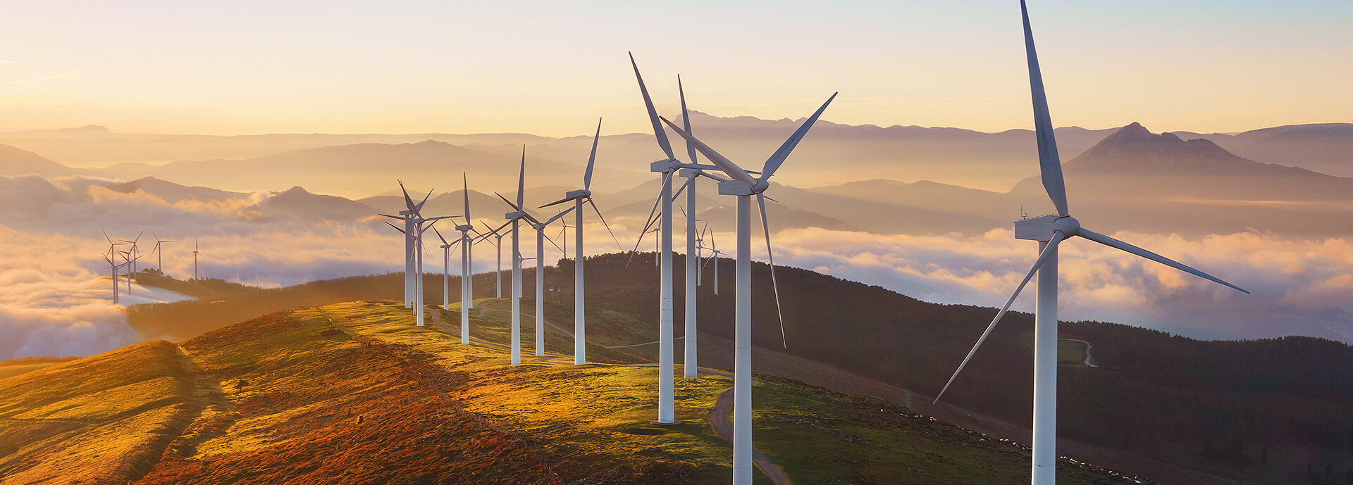 Image of a wind farm