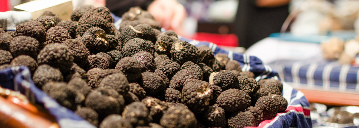 An image of Truffles
