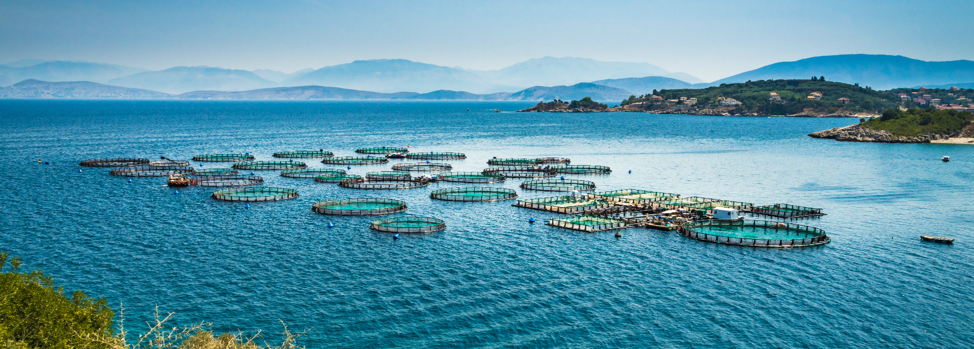 Aerial image of a fish farm in a large area of water