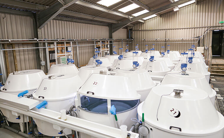Inside the Niall Bromage Freshwater Research Unit
