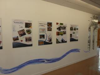 Image of Exhibition1