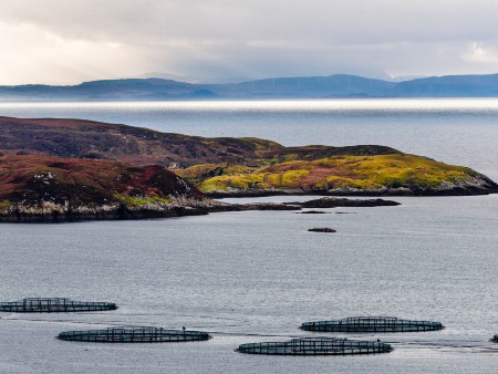 Stirling experts land funding to tackle aquaculture challenges