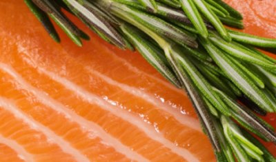 Salmon