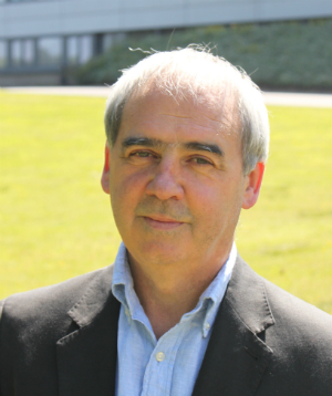 Professor David Bell