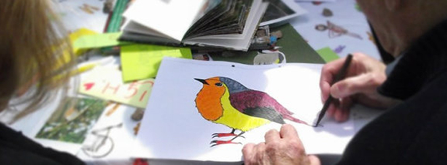 Header drawing a robin