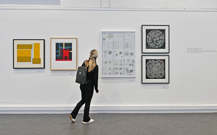 A person looking at artworks in Crush Hall