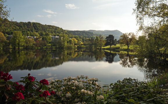 View of Airthrey Loch with flowers in foreground