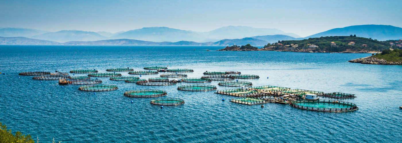 An image of a Fish Farm