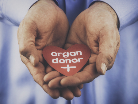 One in 10 people may opt-out of proposed organ donor system