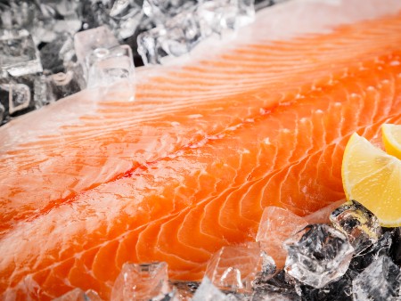 New study on the impact of innovative feeds on salmon health