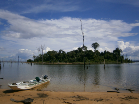 Experts warn against mega-dams in lowland tropical forests