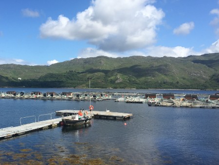 Aquaculture sustainability can be improved through collaboration with agriculture, experts say