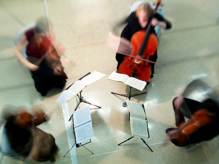 A string quartet.
