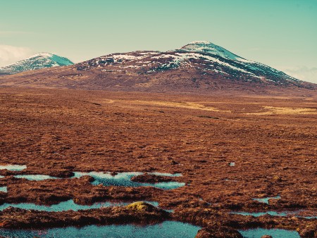 Scottish Government must go further to restore peatlands in pursuit of net zero, study finds