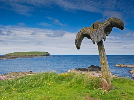 Whale bones on a beach in Orkney