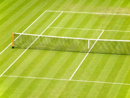 A grass tennis court.