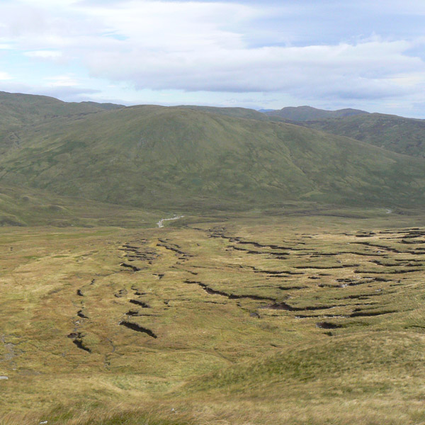 Peat moss in Perth and Kinross