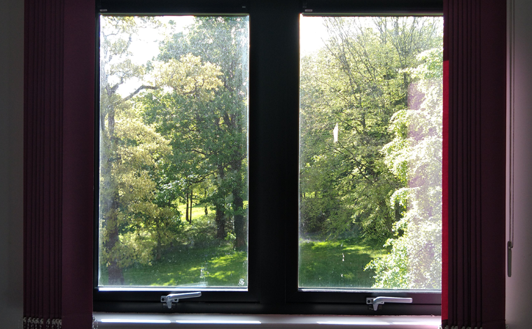 view of trees through window