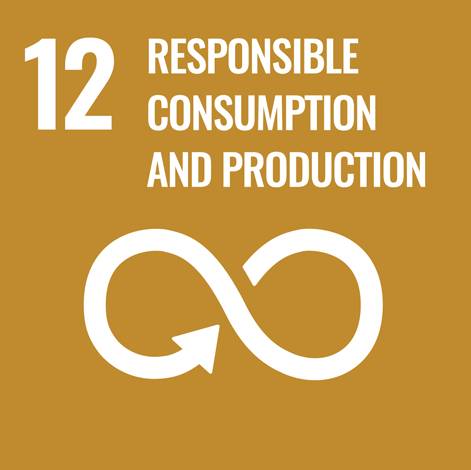 responsible consumption and production infographic
