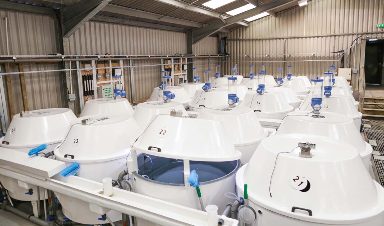 NATIH facility