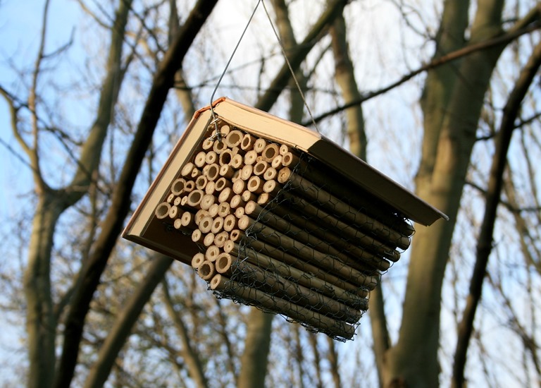 Alec Finlay’s sculpture, The Bee Library (2012). 