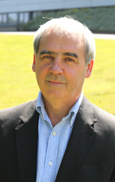 Professor David Bell