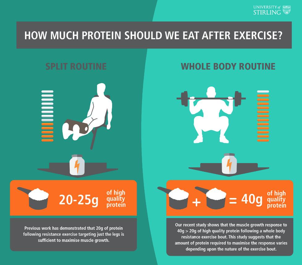 Protein-infographic